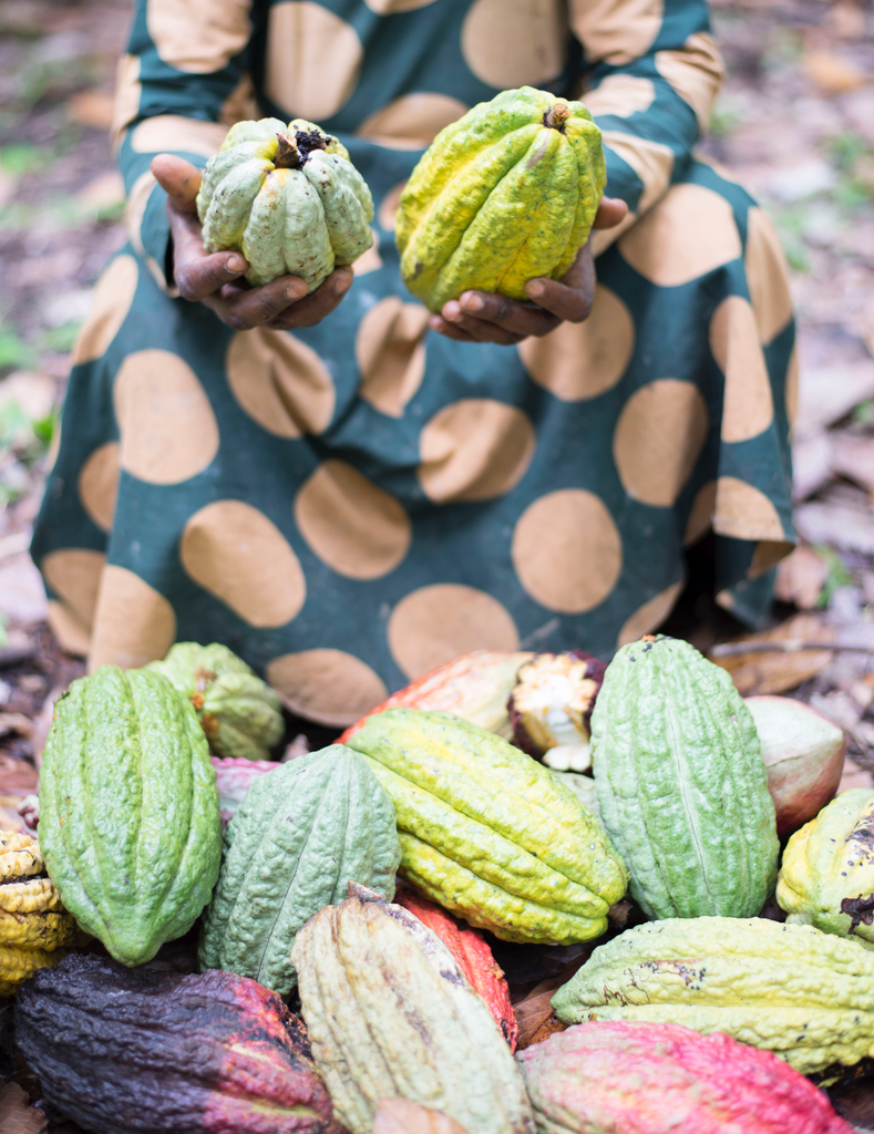 Why Latitude Craft Chocolate Created a Sustainable Supply Chain in Western Uganda.